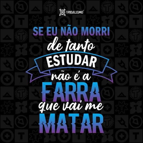 Se não morri de tanto estudar não é a farra que vai me matar