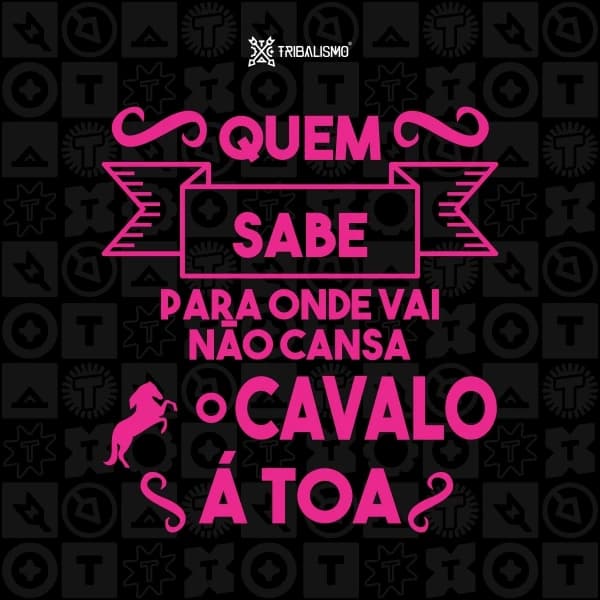 Quem sabe para onde vai não cansa o cavalo à toa