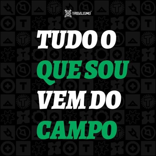 Tudo o que sou vem do campo